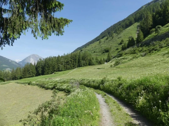 bourg-st-pierre-orsieres-114