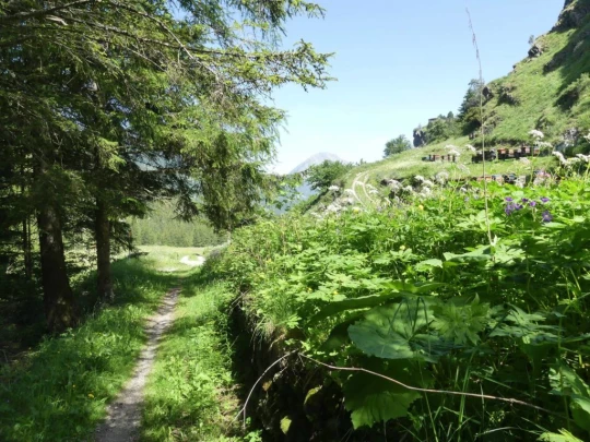 bourg-st-pierre-orsieres-118