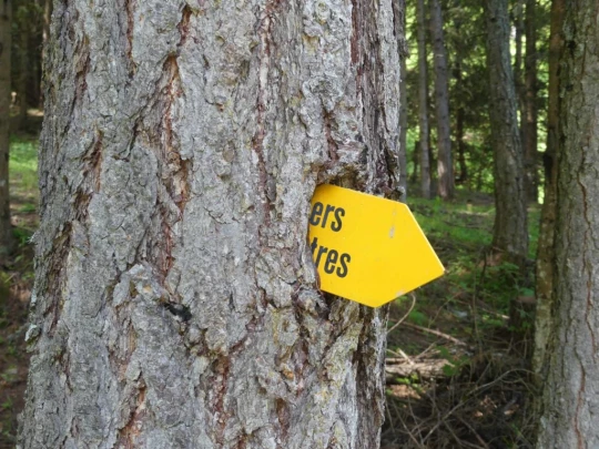 bourg-st-pierre-orsieres-127