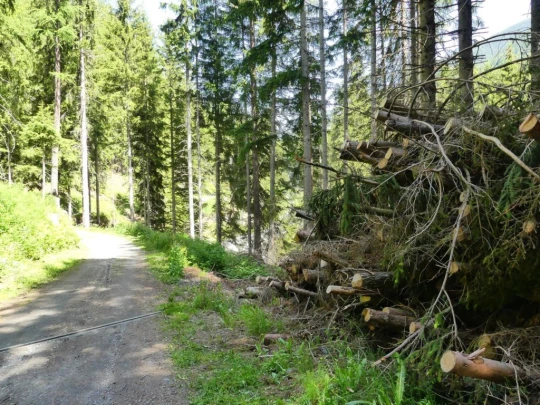 bourg-st-pierre-orsieres-131