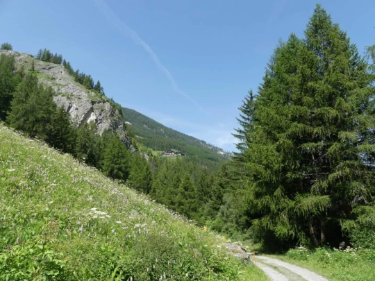 bourg-st-pierre-orsieres-141