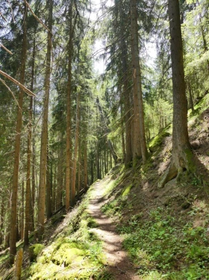 bourg-st-pierre-orsieres-149