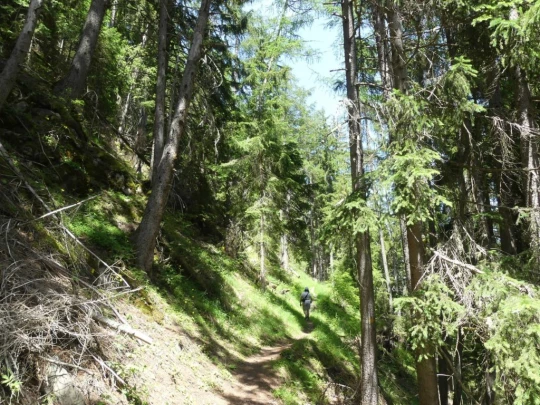 bourg-st-pierre-orsieres-150