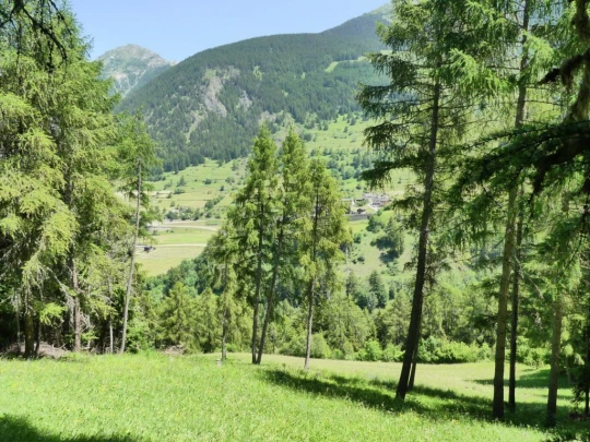 bourg-st-pierre-orsieres-154