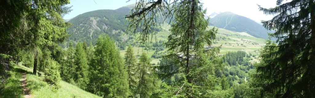 bourg-st-pierre-orsieres-158