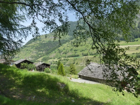 bourg-st-pierre-orsieres-163