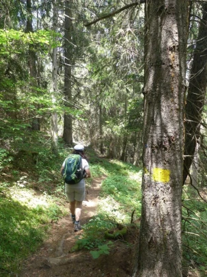 bourg-st-pierre-orsieres-170