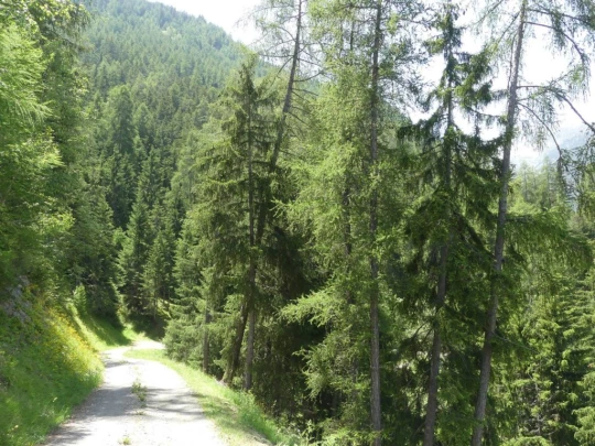 bourg-st-pierre-orsieres-175