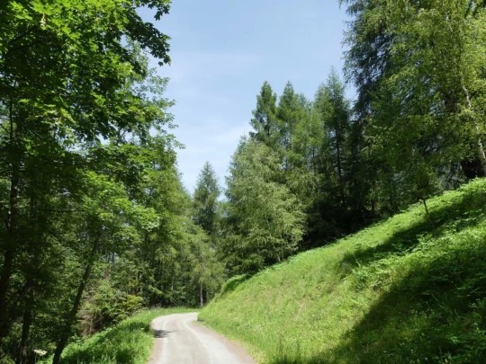 bourg-st-pierre-orsieres-179