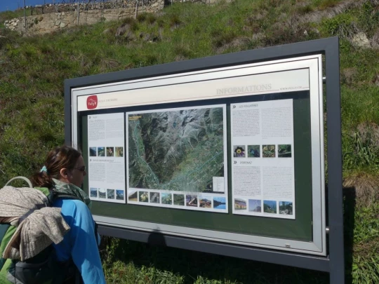 branson-follateres-fully-100