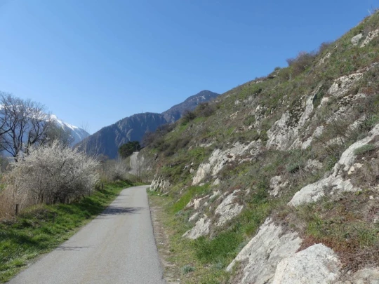 branson-follateres-fully-101