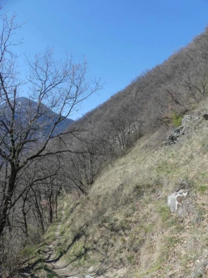 branson-follateres-fully-110