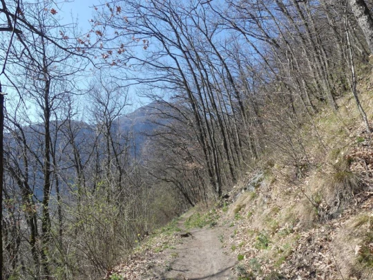 branson-follateres-fully-112