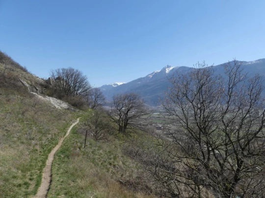 branson-follateres-fully-123