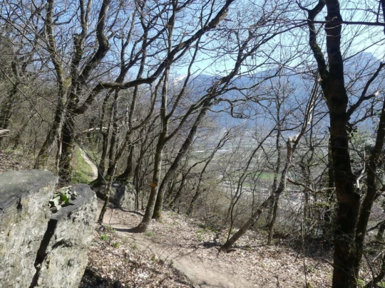 branson-follateres-fully-130