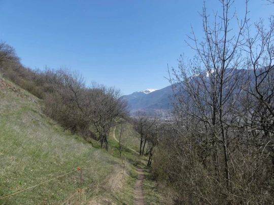 branson-follateres-fully-132