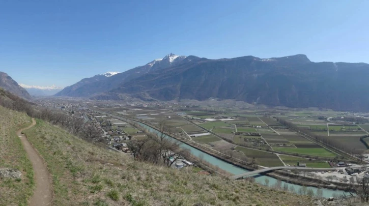 branson-follateres-fully-137