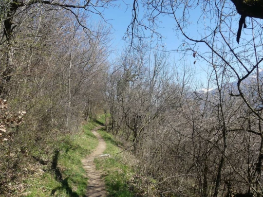 branson-follateres-fully-143