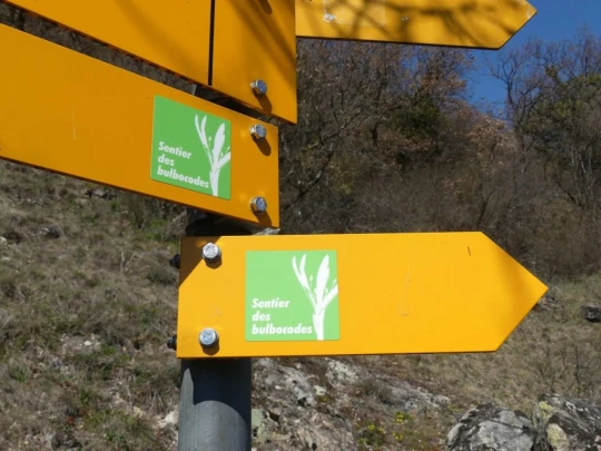 branson-follateres-fully-146