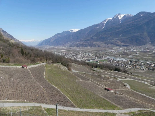 branson-follateres-fully-151