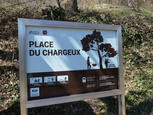 branson-follateres-fully-153