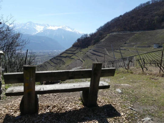 branson-follateres-fully-154