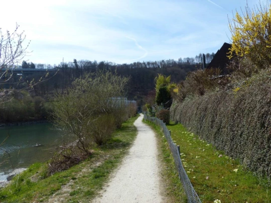 bremgarten-b-bern-bern-118