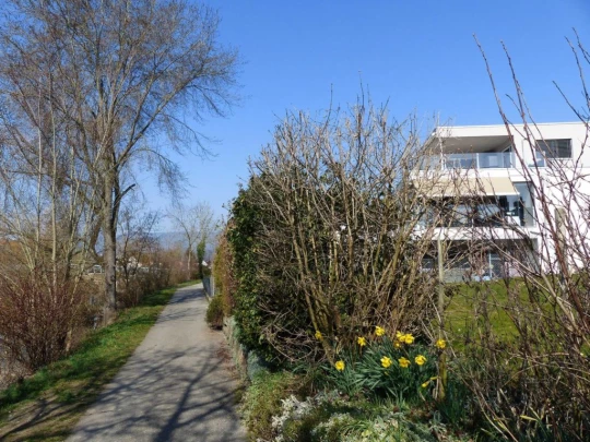 buren-a-den-aare-buren-115