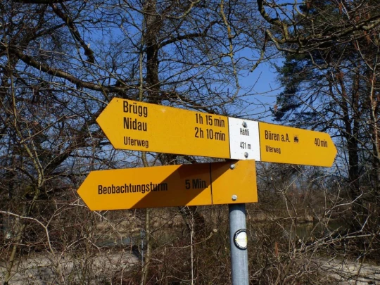 buren-a-den-aare-buren-151