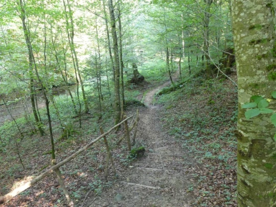 buren-zum-hof-wengi-bei-buren-126