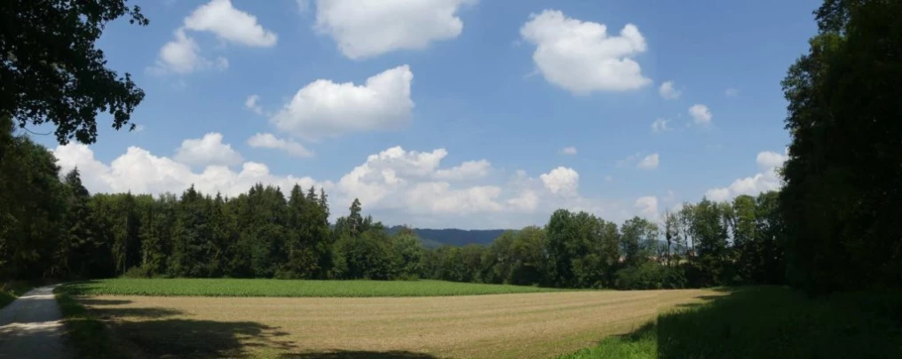 buren-zum-hof-wengi-bei-buren-162
