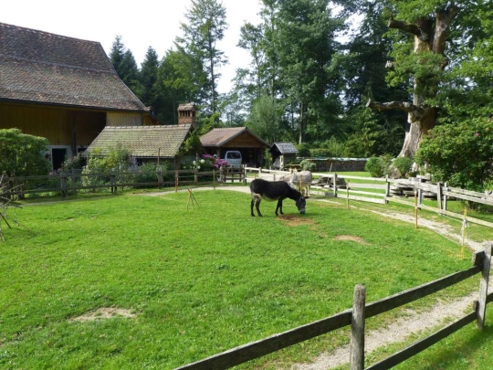 chalet-a-gobet-clochatte-110