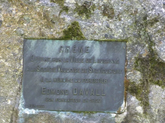 chalet-a-gobet-clochatte-111