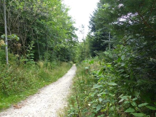 chalet-a-gobet-clochatte-113