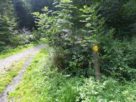 chalet-a-gobet-clochatte-115