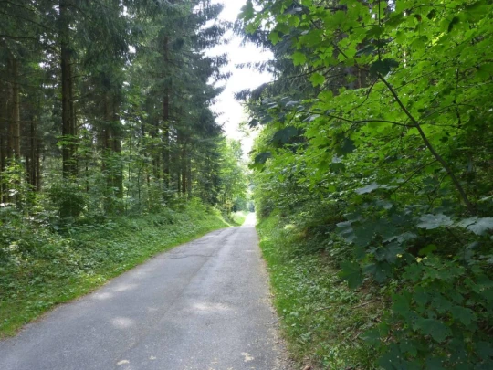 chalet-a-gobet-clochatte-117