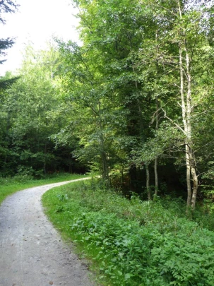 chalet-a-gobet-clochatte-122