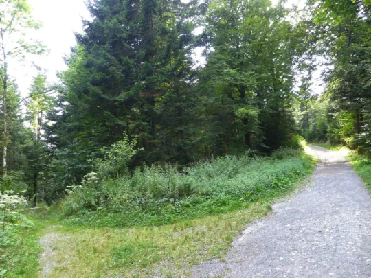 chalet-a-gobet-clochatte-123