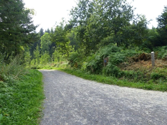 chalet-a-gobet-clochatte-124