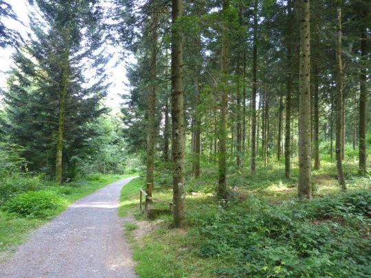 chalet-a-gobet-clochatte-128