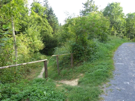 chalet-a-gobet-clochatte-129