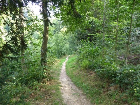 chalet-a-gobet-clochatte-130