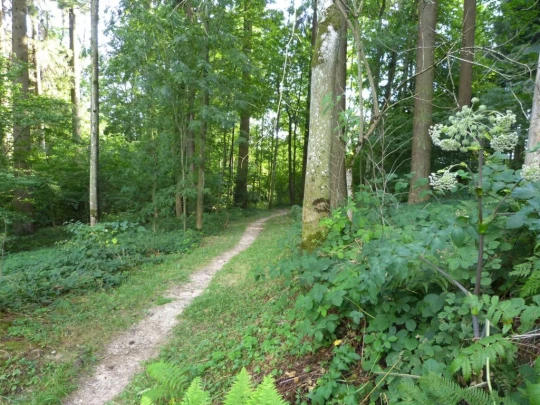 chalet-a-gobet-clochatte-131