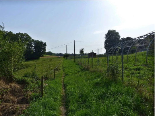 chalet-a-gobet-clochatte-132