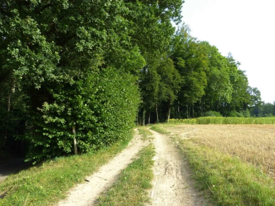 chalet-a-gobet-clochatte-134