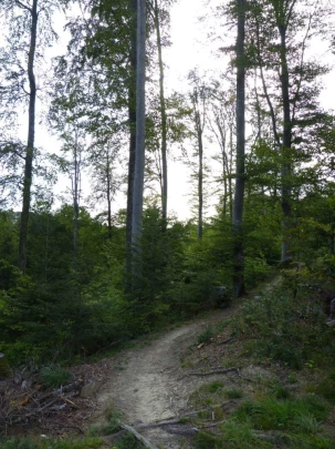 chalet-a-gobet-clochatte-135