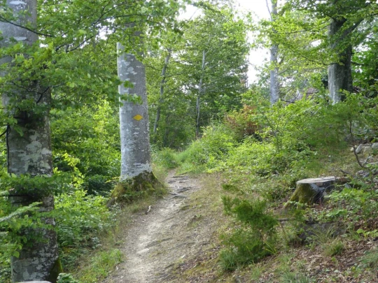 chalet-a-gobet-clochatte-137