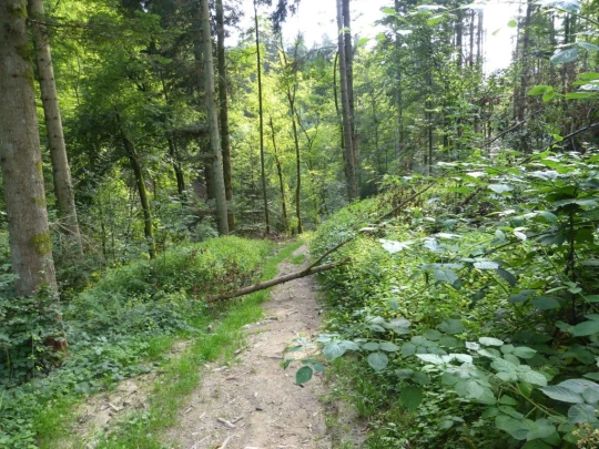 chalet-a-gobet-clochatte-138