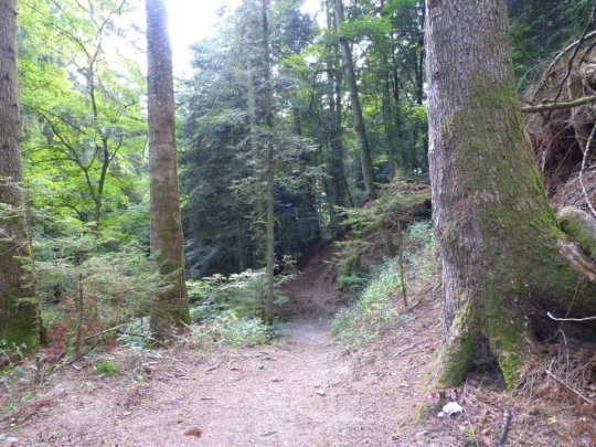 chalet-a-gobet-clochatte-139