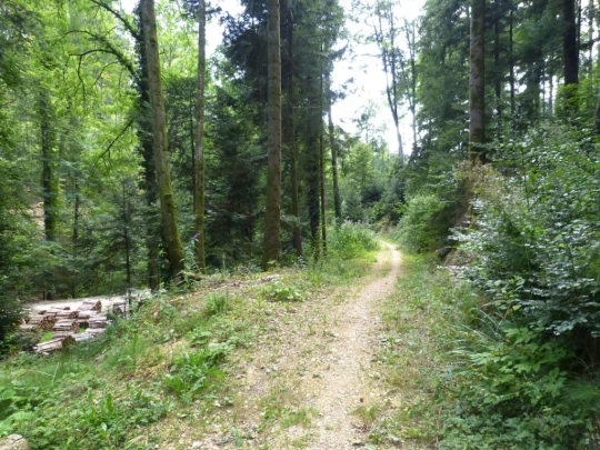 chalet-a-gobet-clochatte-140